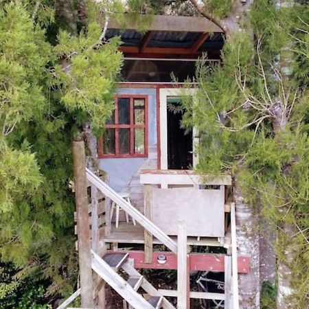 The Treehut At The Rabbithole, Upper Hutt Hotel Akatarawa Exterior foto